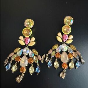Multi Colored Earrings